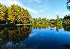 公園内の水辺と吉備の写真