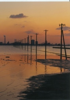 夕暮れの海岸の写真