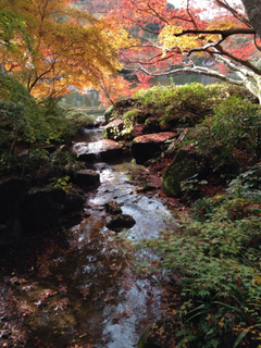 小川の写真