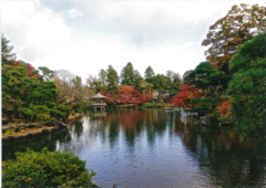 公園の水辺の写真