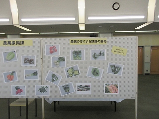 展示