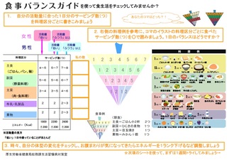 食事バランスガイドチェックシート表面